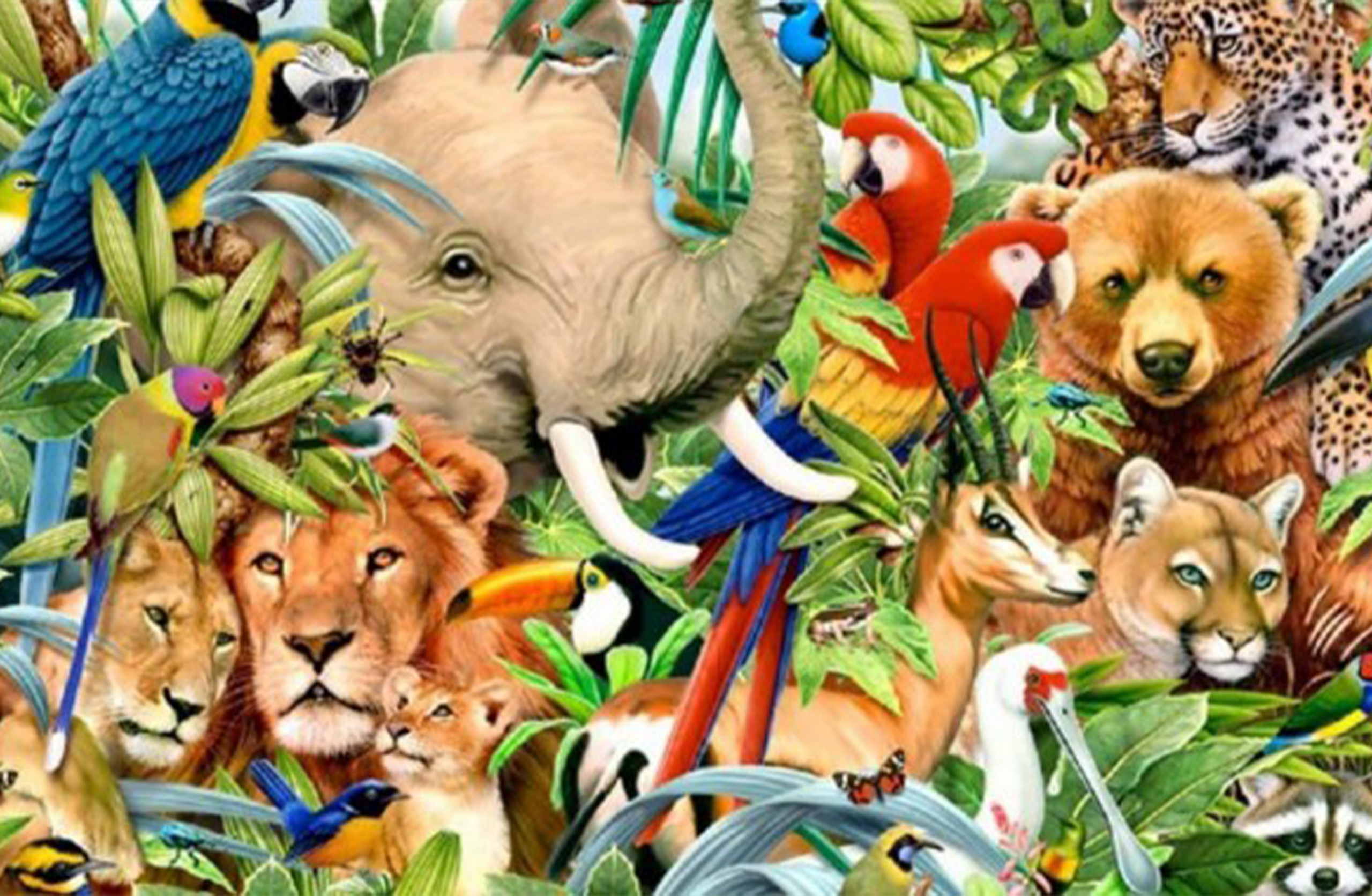 Картина животный мир. Много зверей. Много разных животных. Мир животных. Много животных на одной картинке.