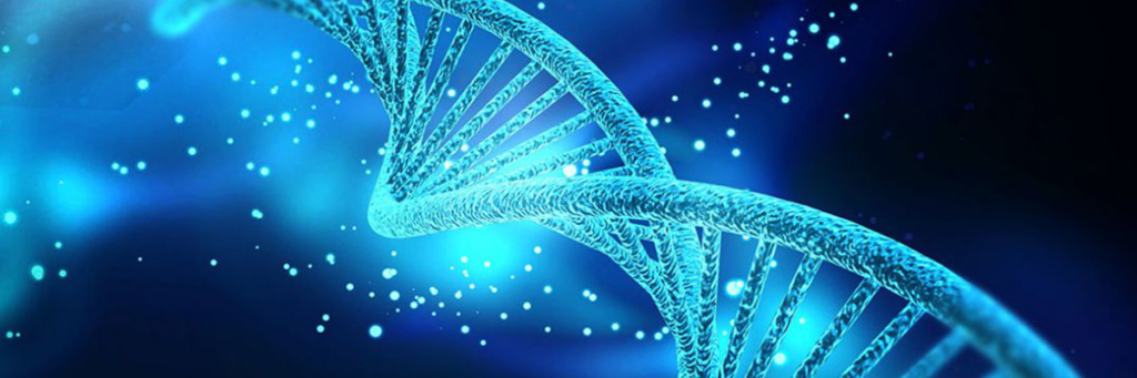 Что доказывает сходство ДНК человека и шимпанзе? - Апологетика Библии